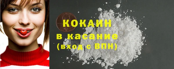молекула духа Дмитриев