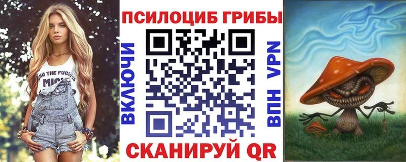 Галлюциногенные грибы мицелий Купить где Жуковка