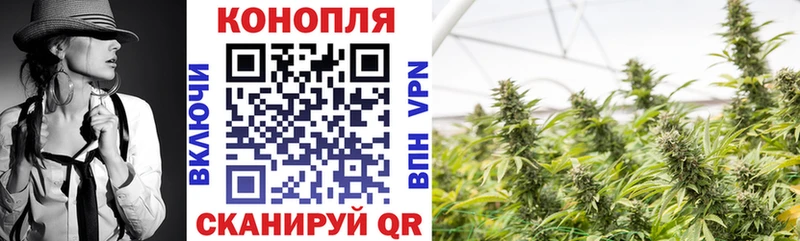 Купить где  Жуковка  Конопля семена 